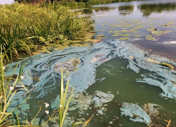 69984662_2435145073230587_6633049579572953088_n-1